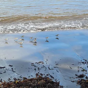 La Kaz Nature Bien-etre Hébergement de vacances